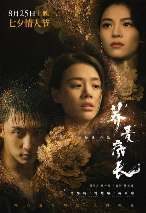 怎样查询高中毕业证的真假